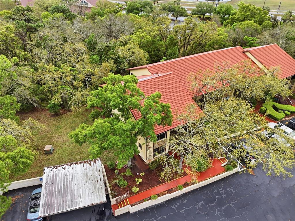 7650 Forest Trail, Unit 6 Port Richey, FL 34668 - Photo 35 of 37 an aerial view of a house with yard and lake view
