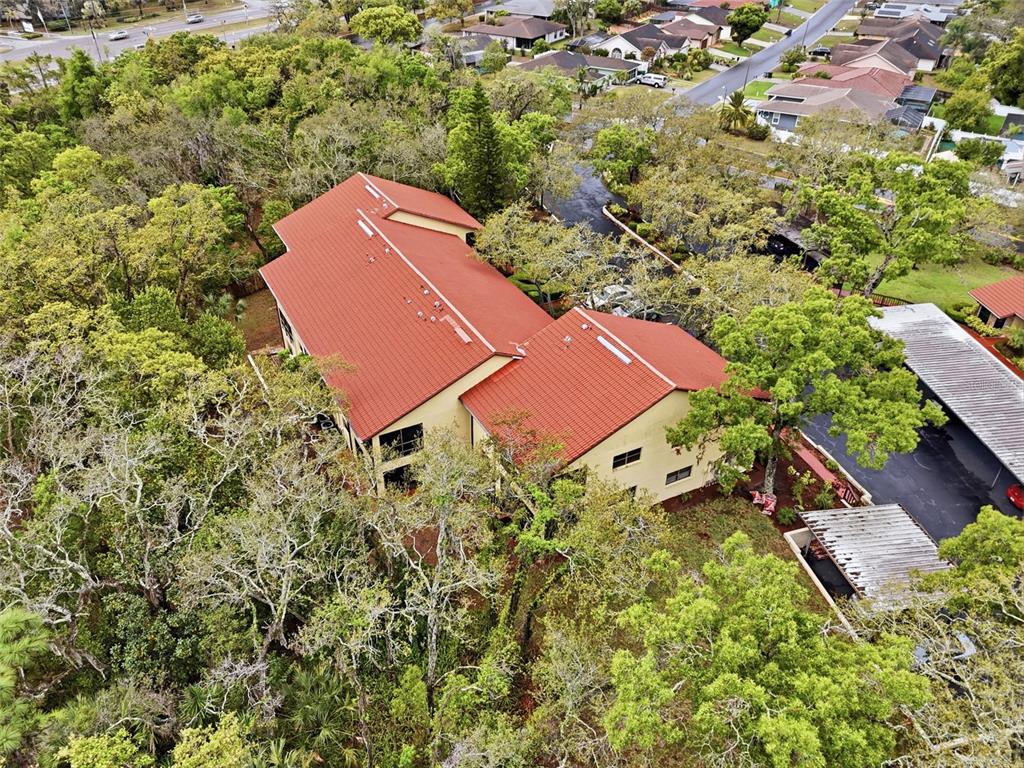 7650 Forest Trail, Unit 6 Port Richey, FL 34668 - Photo 37 of 37 an aerial view of a house with a yard