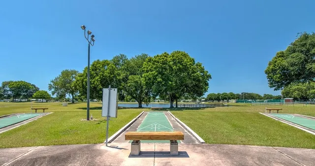 a view of a park that has a tree in front of it