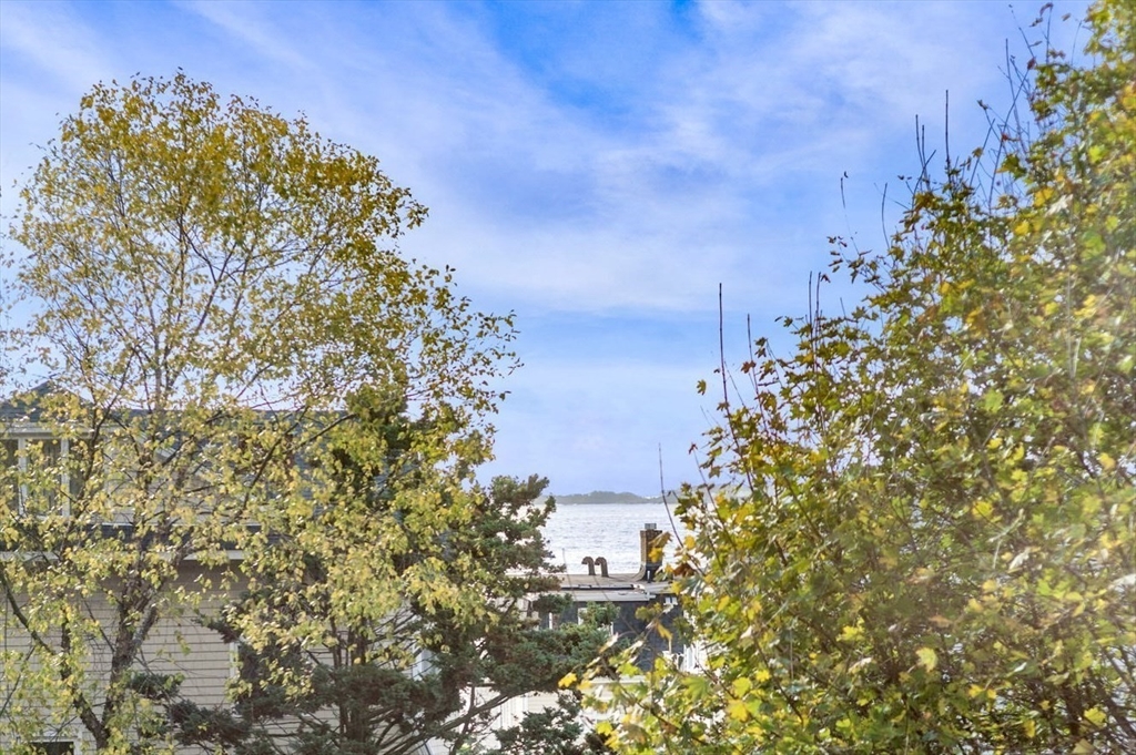 28 Claremont Terrace, Unit 6 Swampscott, MA 01907 - Photo 4 of 39