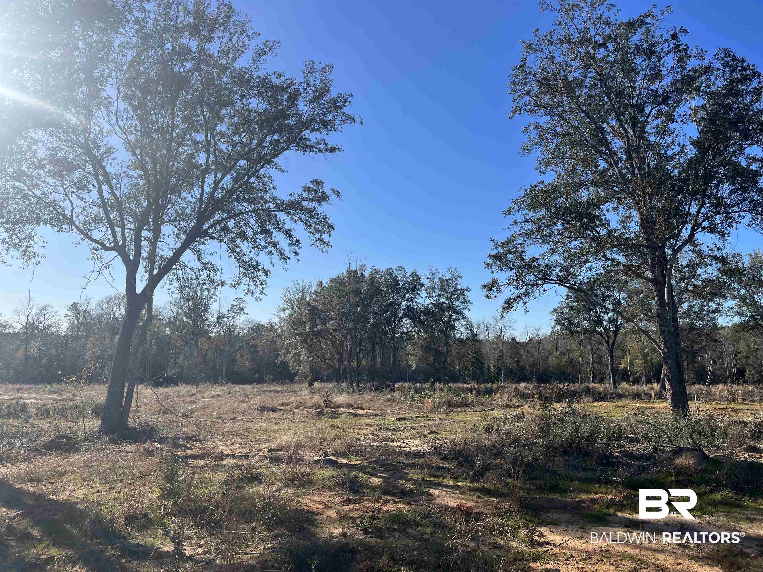 0 Lechner Road Robertsdale, AL 36567 - Photo 13 of 13