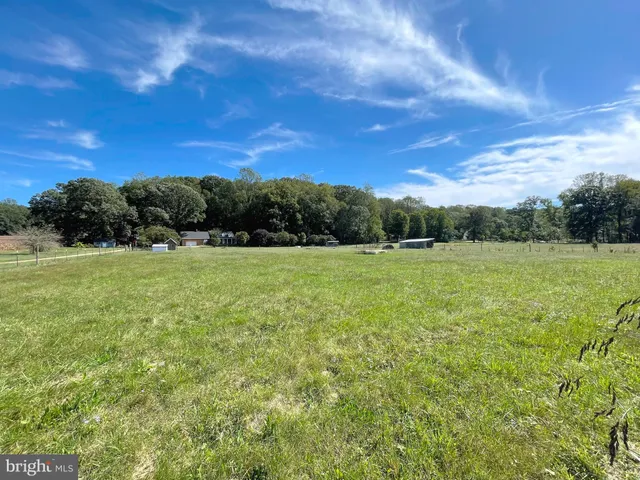 a view of a grassy field with trees in the background