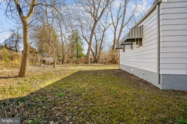 a view of large yard with large trees