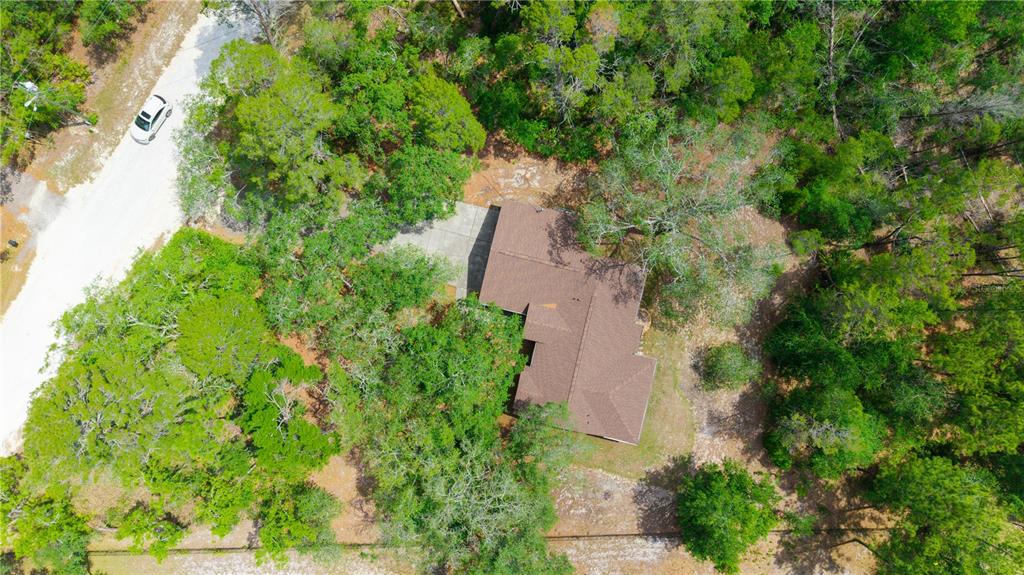7121 Bastian Court Weeki Wachee, FL 34613 - Photo 37 of 45