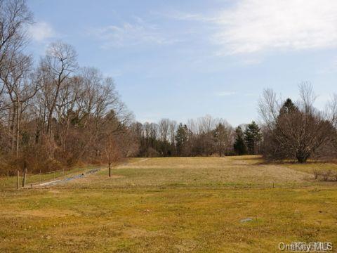 Middle Hollow Road Cold Spring Harbor, NY 11724 - Photo 1 of 1 a view of a field with trees in the background