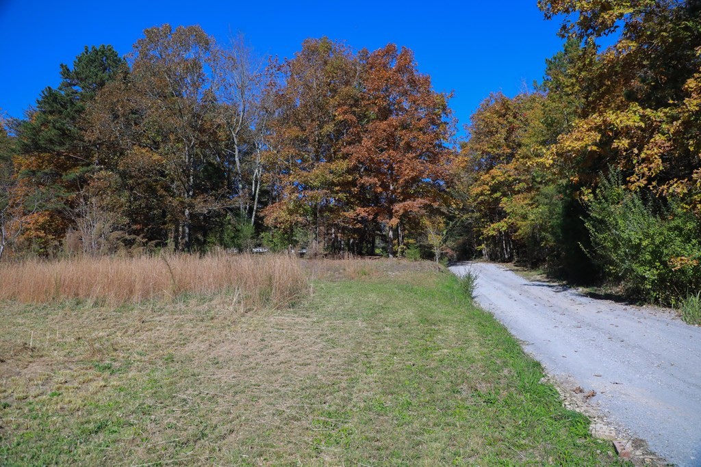 300 Sunshine Lane Decatur, TN 37322 - Photo 7 of 33 Gallery Image 7