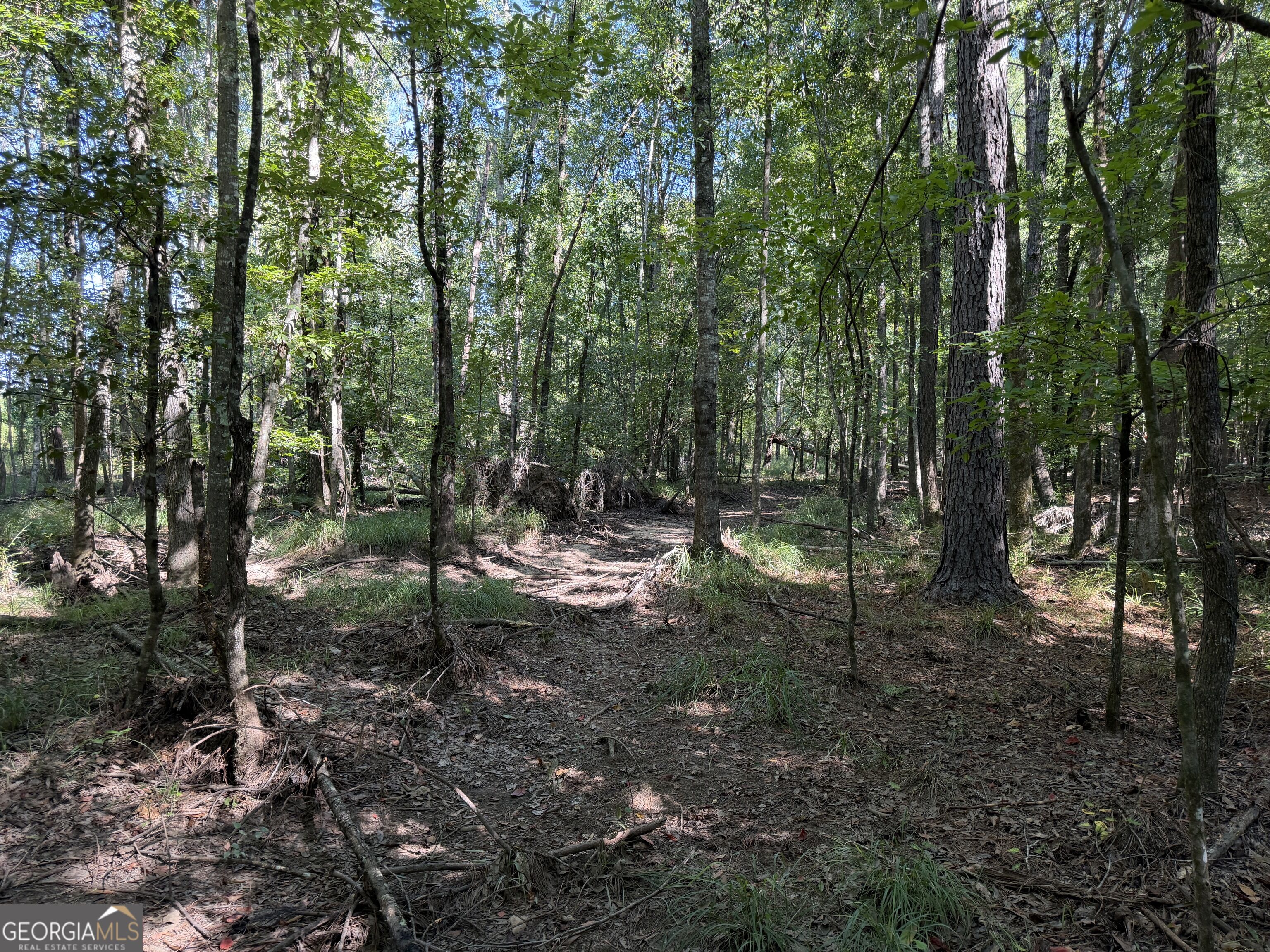 0 Pig Road Bartow, GA 30413 - Photo 18 of 44 Gallery Image 18
