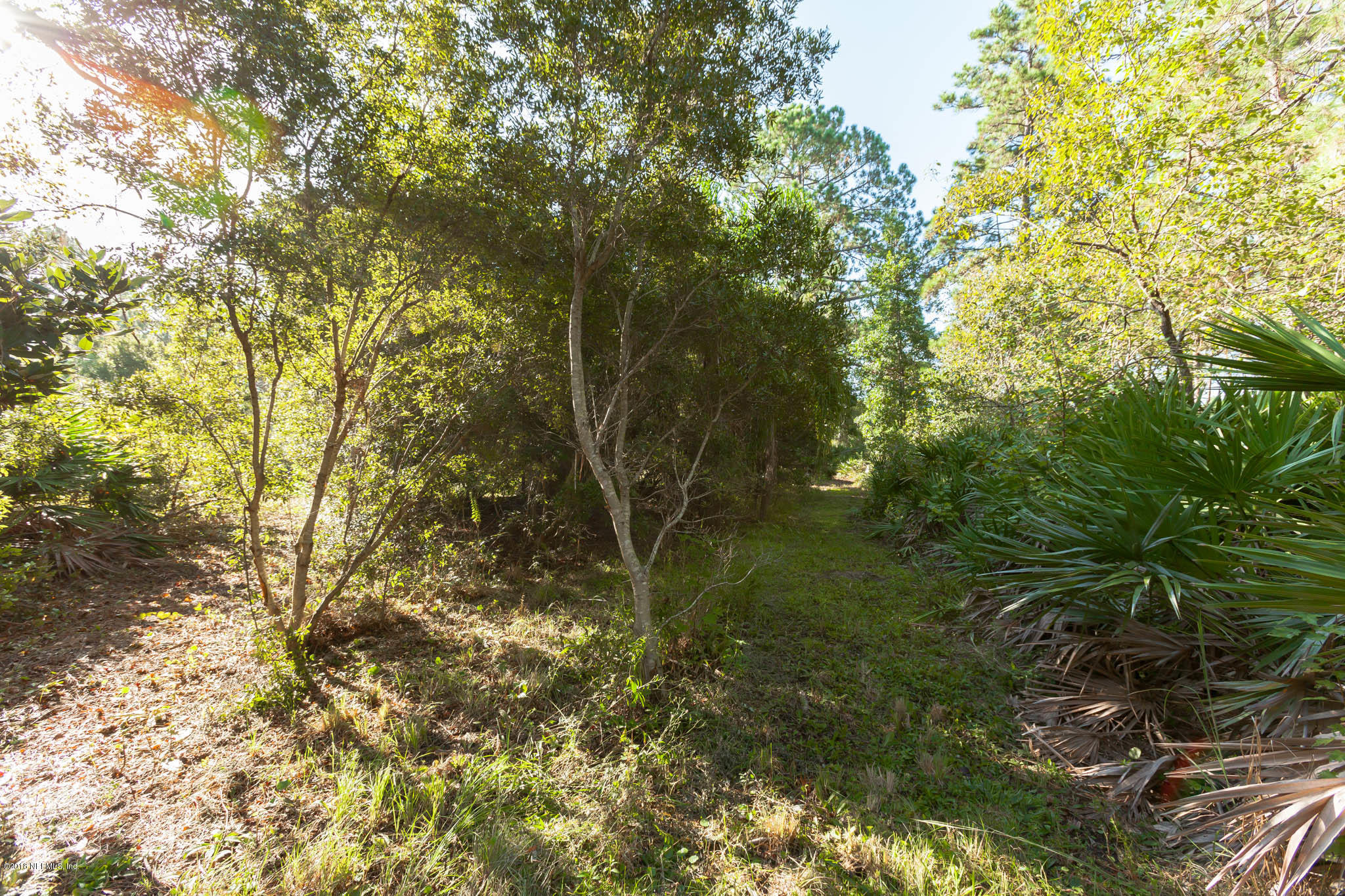 10182 Shellcracker Road Jacksonville, FL 32226 - Photo 23 of 30 a view of a yard