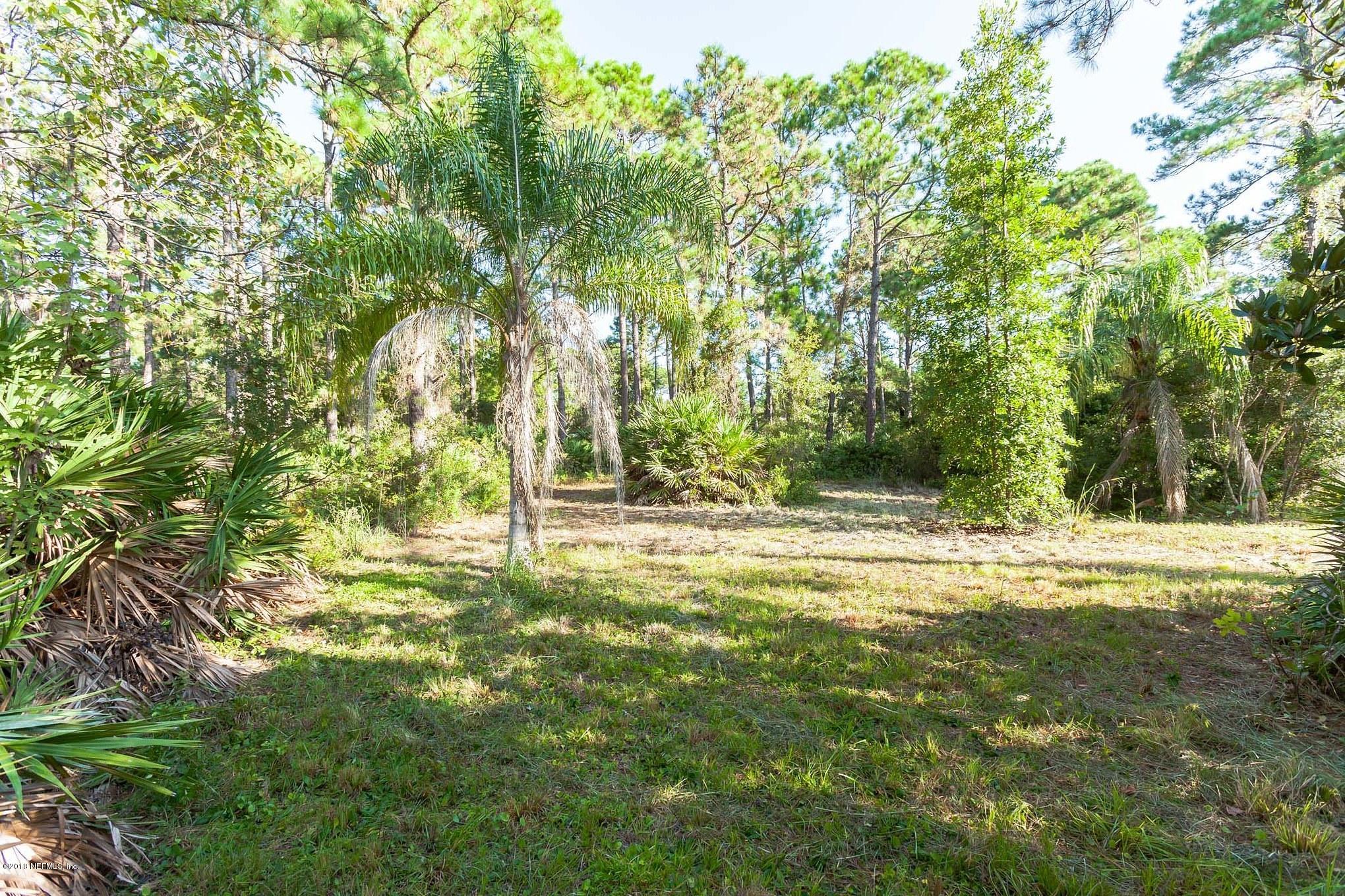 10182 Shellcracker Road Jacksonville, FL 32226 - Photo 25 of 30 a view of a yard with a trees
