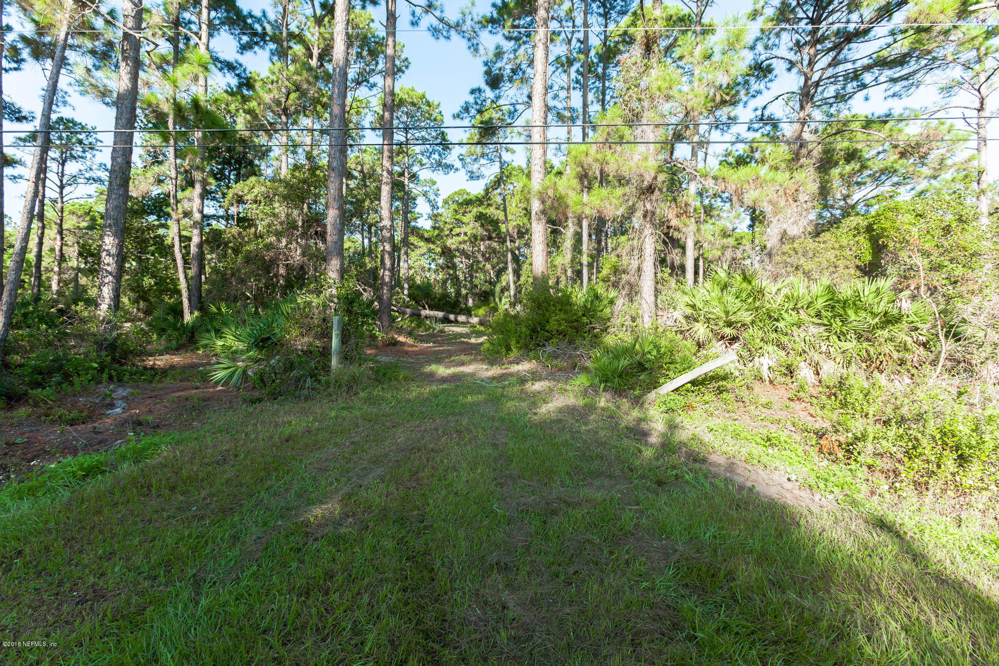 10182 Shellcracker Road Jacksonville, FL 32226 - Photo 3 of 30 a view of yard with green space
