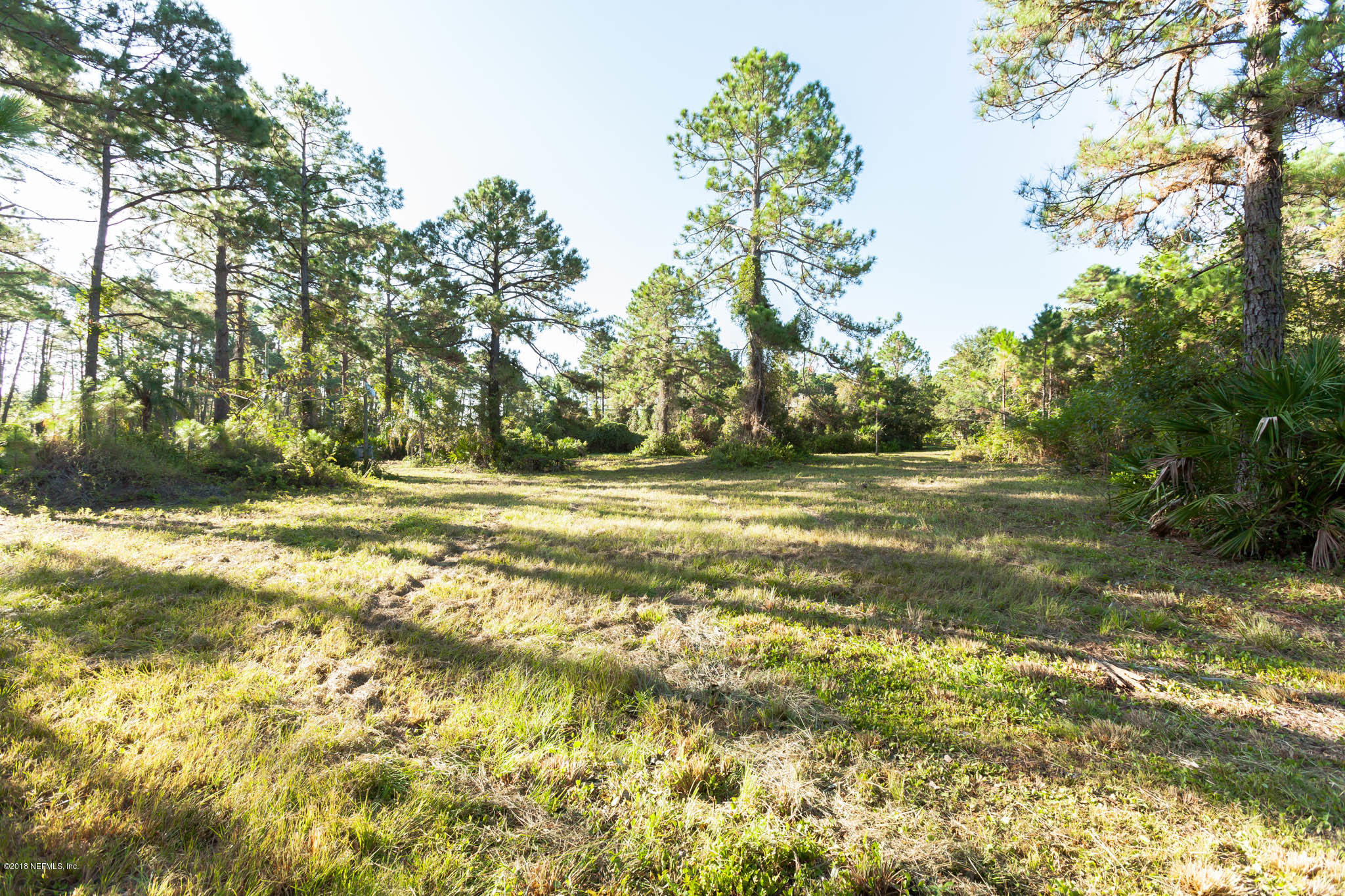 10182 Shellcracker Road Jacksonville, FL 32226 - Photo 5 of 30 a view of a yard with plants and large trees