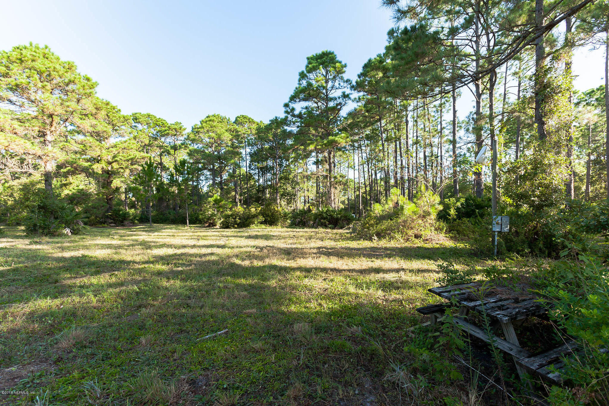 10182 Shellcracker Road Jacksonville, FL 32226 - Photo 7 of 30 a view of a yard with a trees