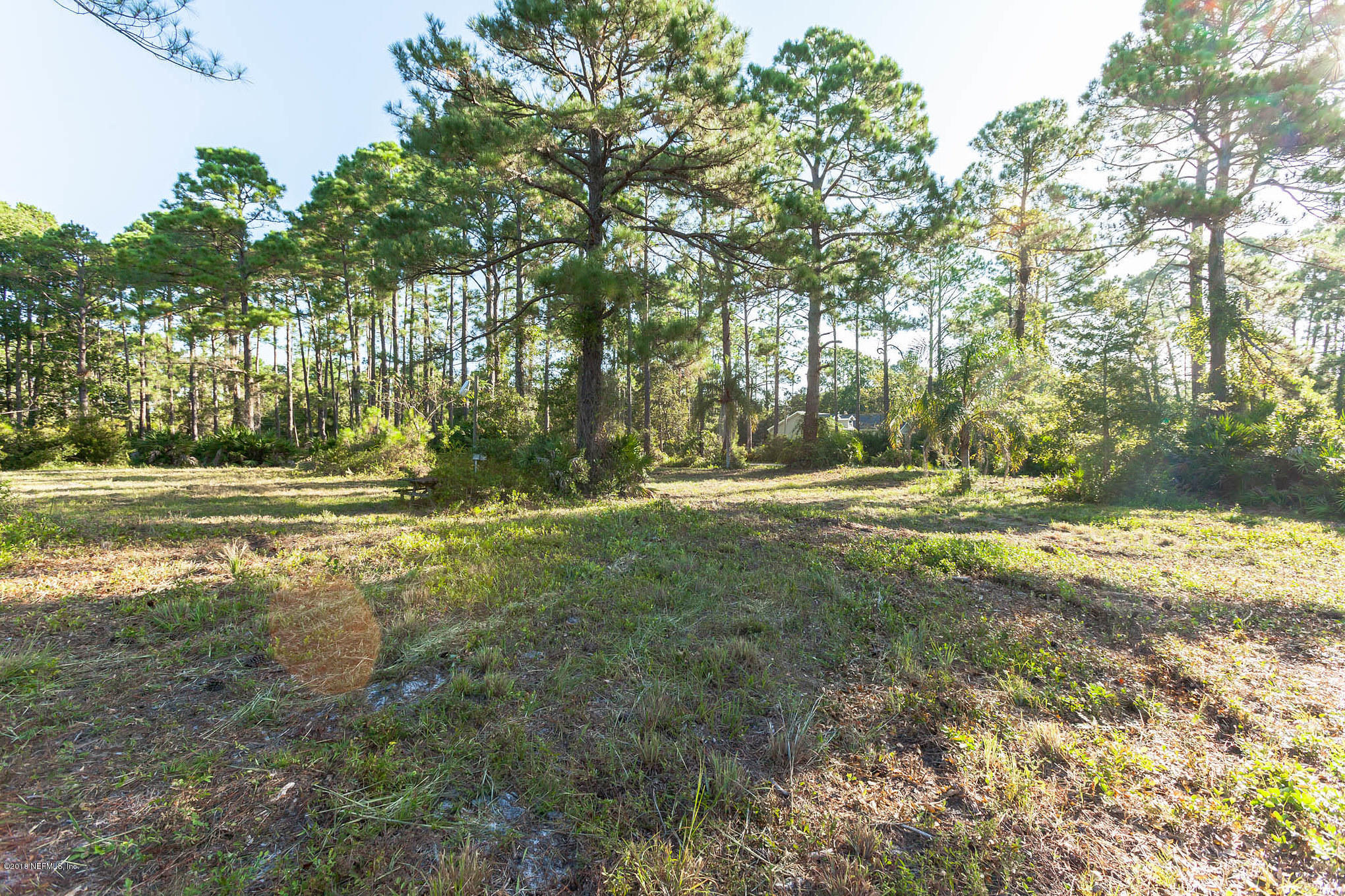 10182 Shellcracker Road Jacksonville, FL 32226 - Photo 8 of 30 a view of outdoor space with trees