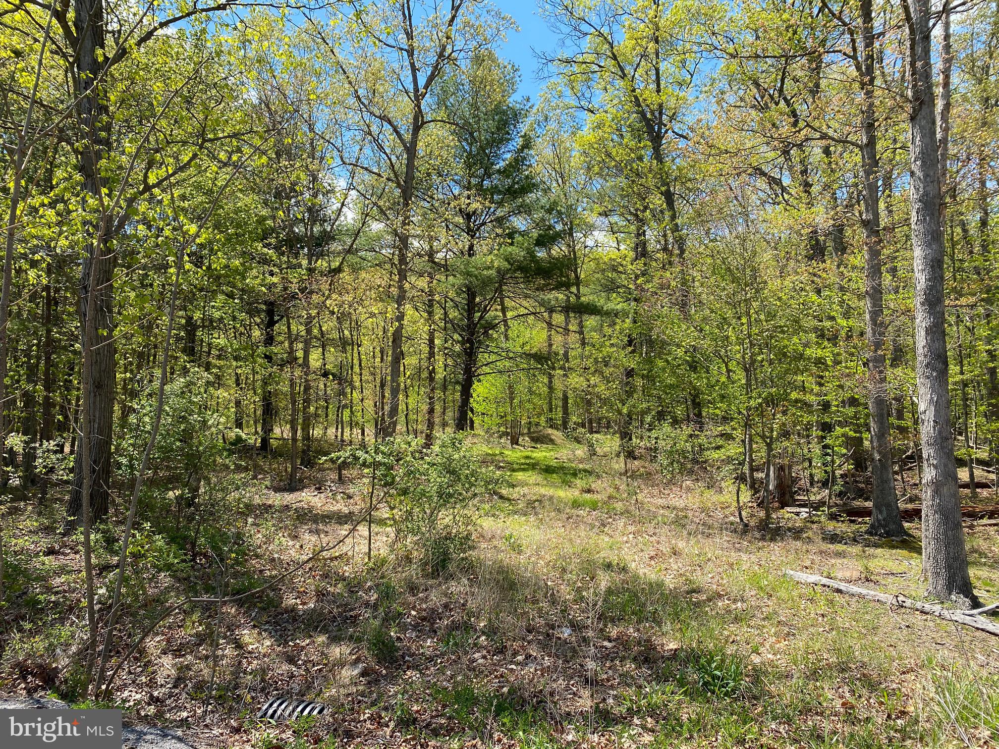 84 Alex Lane Berkeley Springs, WV 25411 - Photo 2 of 7 Setting