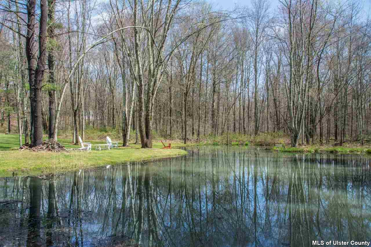 19 Coxing Road Cottekill, NY 12419 - Photo 4 of 35 Pond is full of fish!