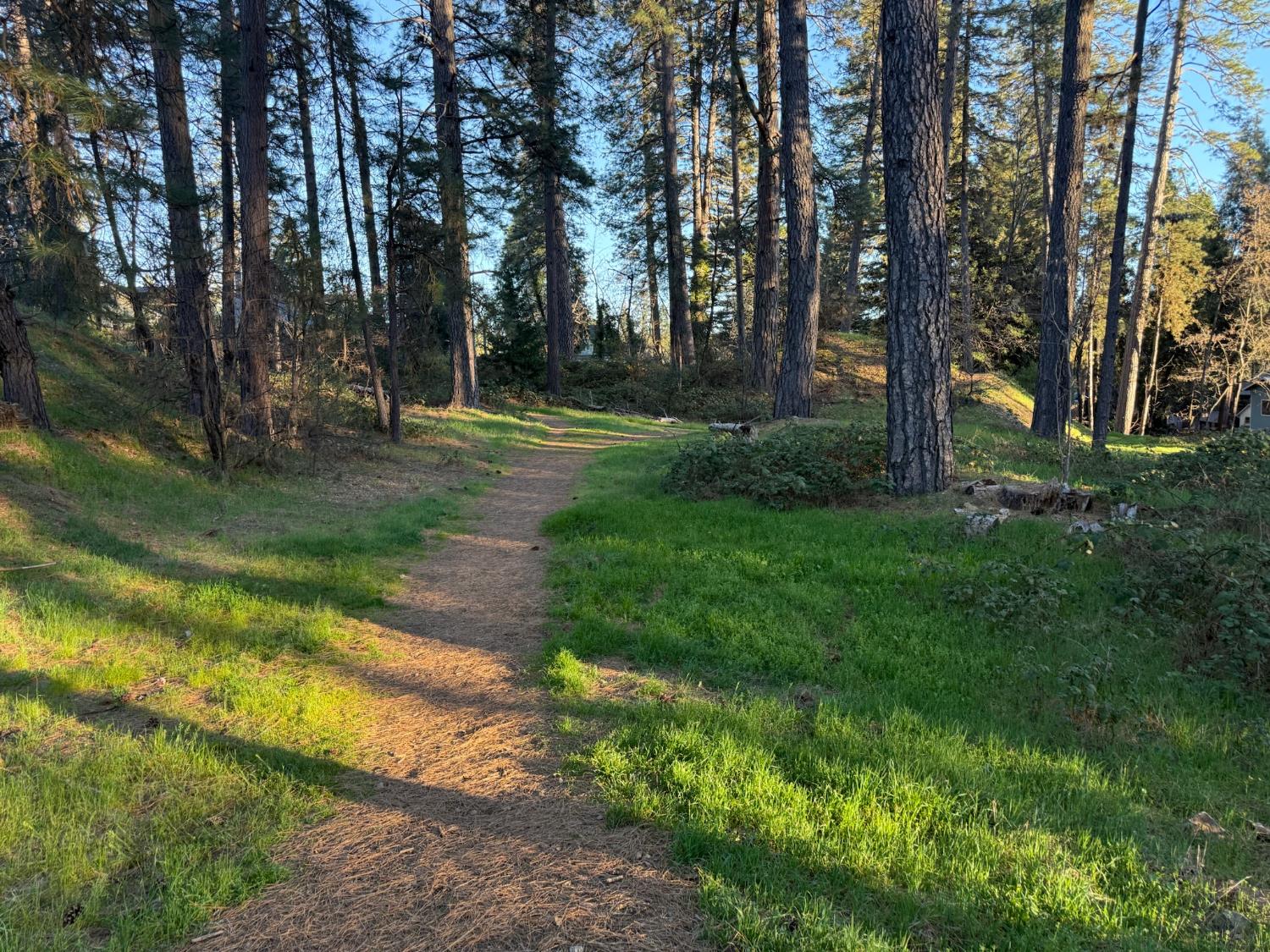0 Pleasant Street Grass Valley, CA 95945 - Photo 1 of 25 a view of park
