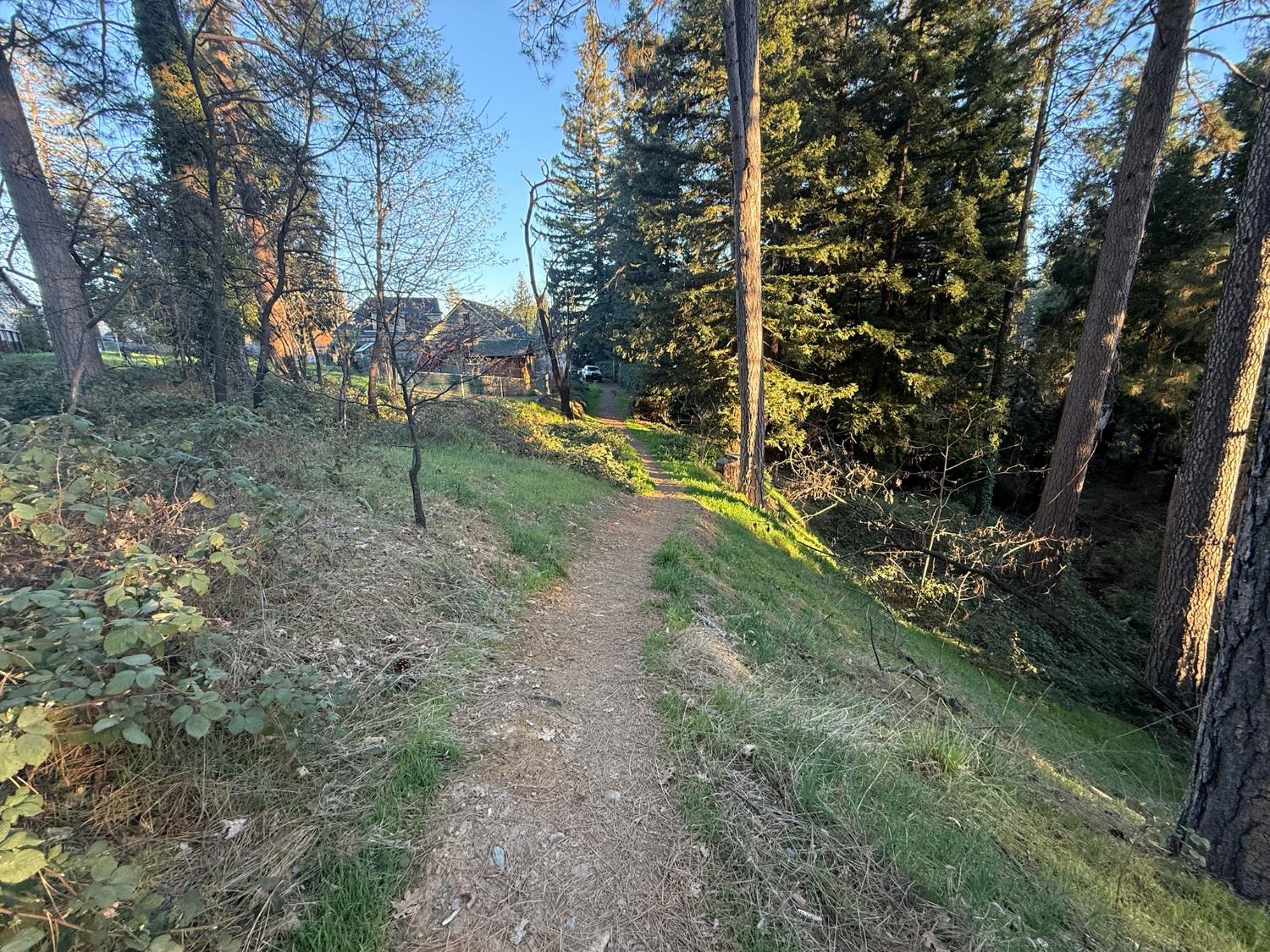 0 Pleasant Street Grass Valley, CA 95945 - Photo 21 of 25 a backyard of a house with lots of green space