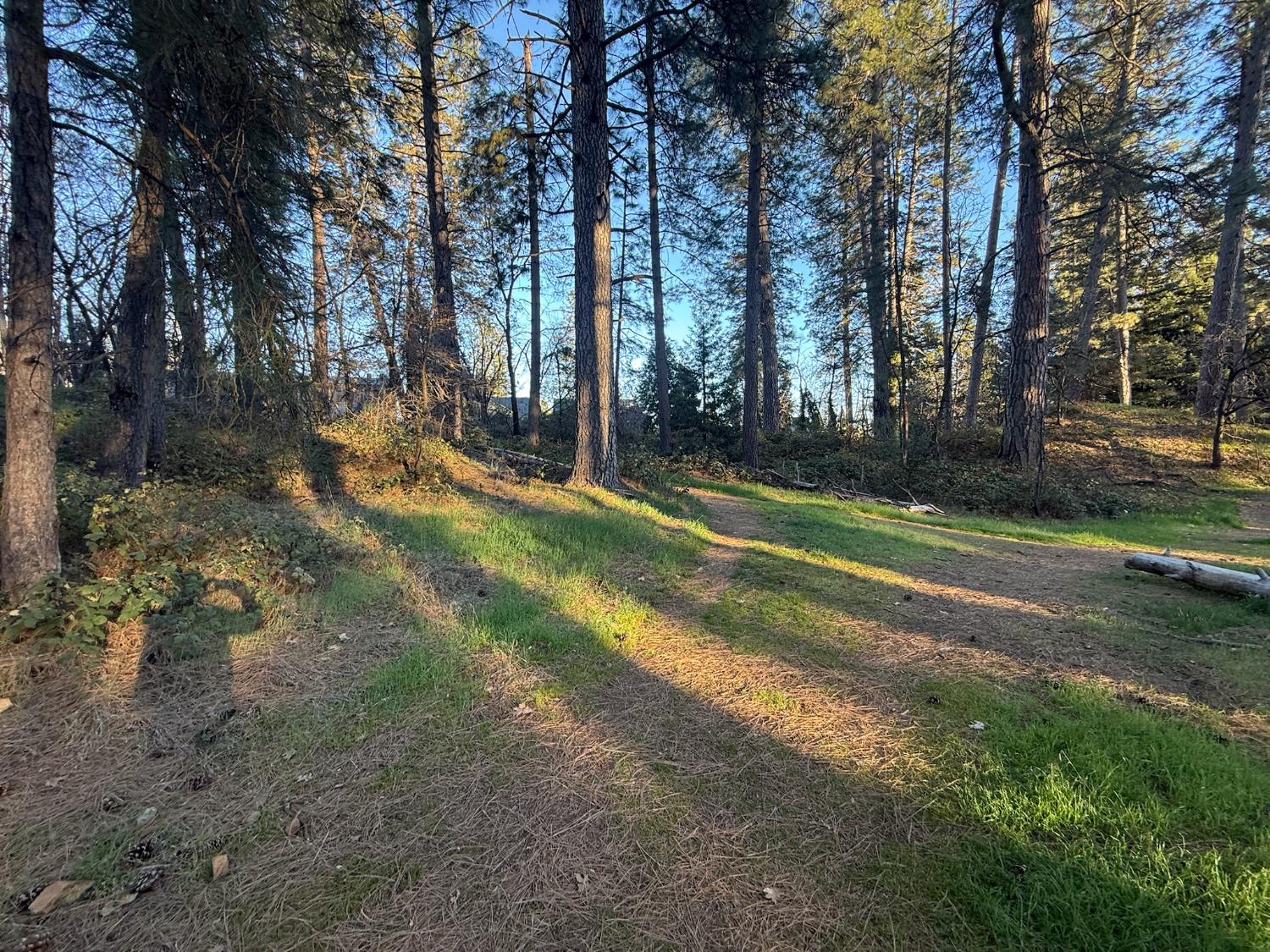 0 Pleasant Street Grass Valley, CA 95945 - Photo 6 of 25 a view of a park