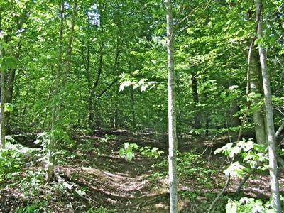 2 Straight Creek Road Campton, KY 41301 - Photo 6 of 6 Photo 6