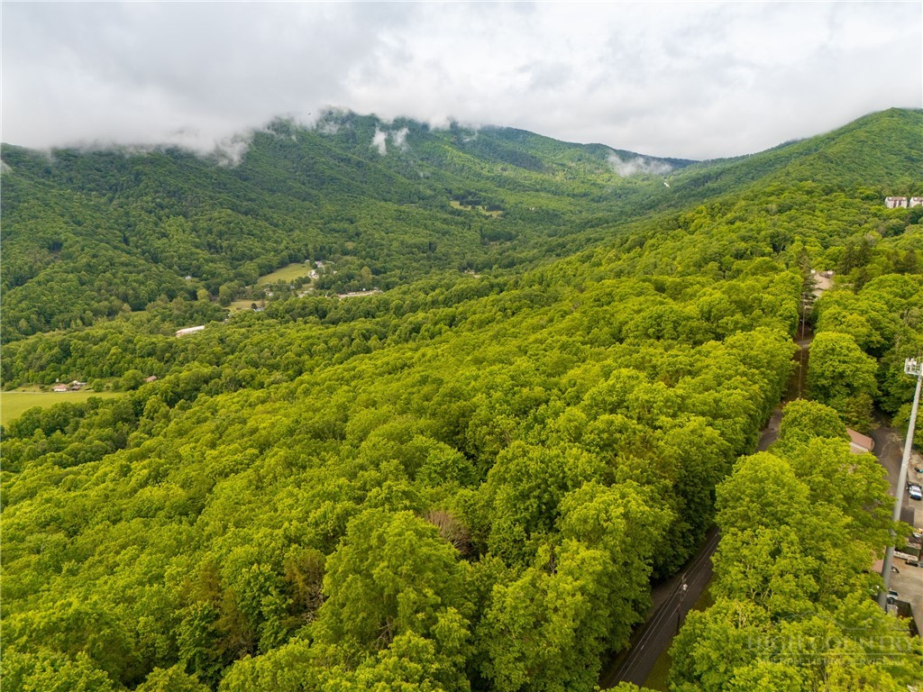 280 Chinkapin Ridge Road Seven Devils, NC 28604 - Photo 40 of 40 a view of a lush green hillside and a houses