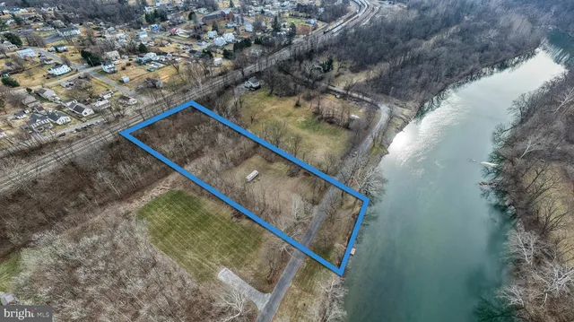 a body of water with a tree in the background