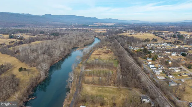 a view of a yard with a trees