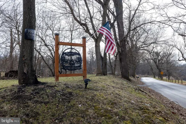 a view of a yard with trees in the background