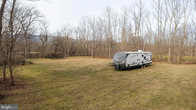 a view of road with large trees