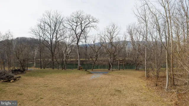 a view of outdoor space with trees