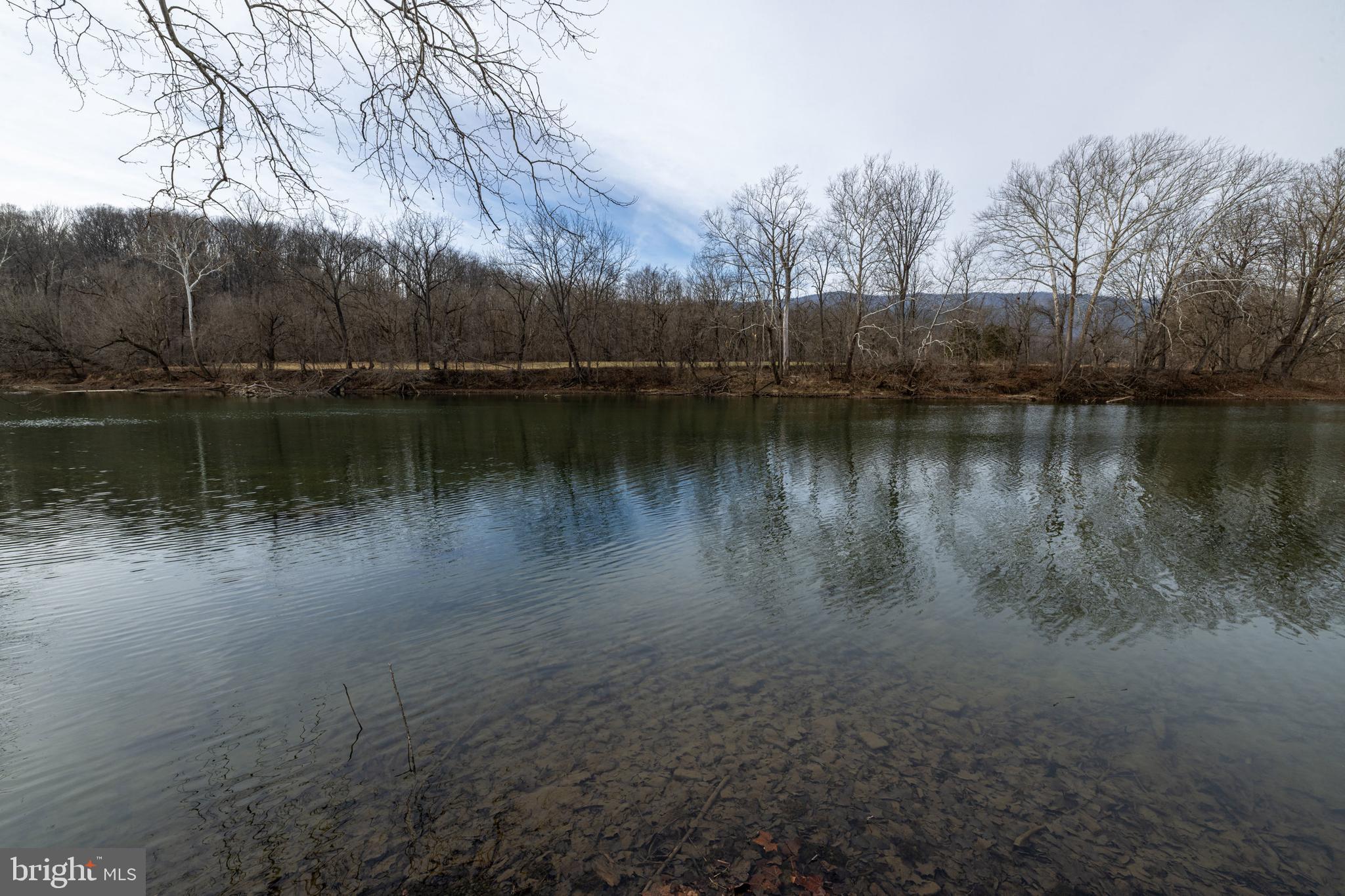 0 Shenandoah River Road Shenandoah, VA 22849 - Photo 45 of 55 Gallery Image 45