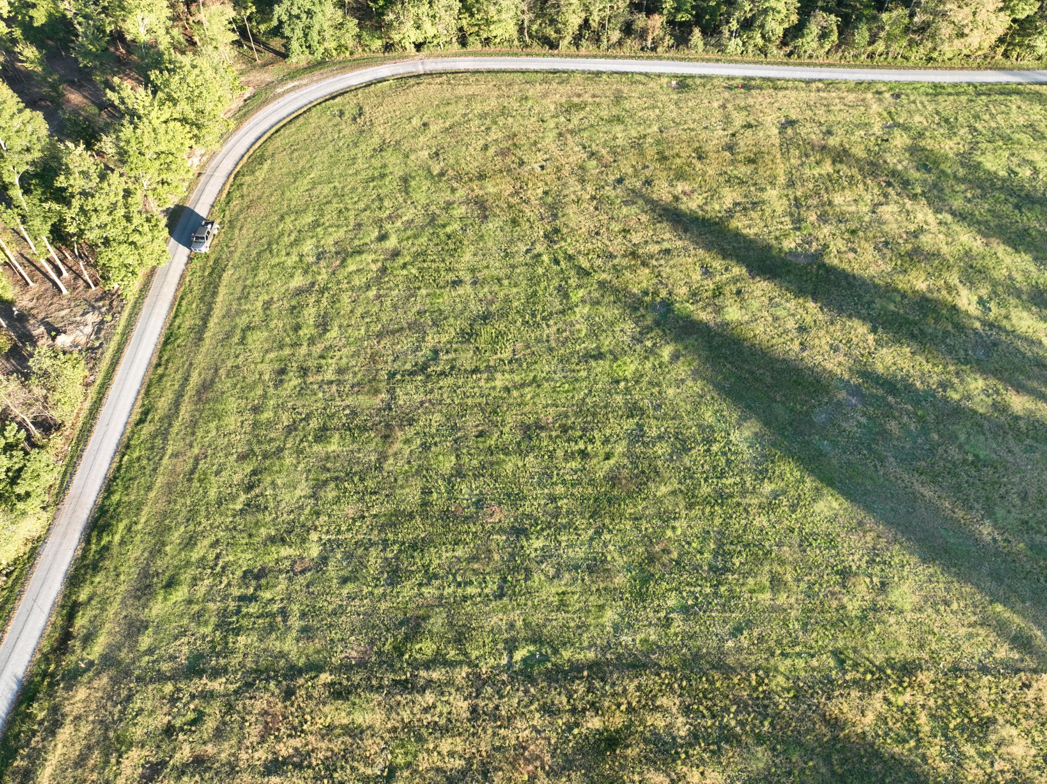 0 Annie Hollow Road Westmoreland, TN 37186 - Photo 2 of 7