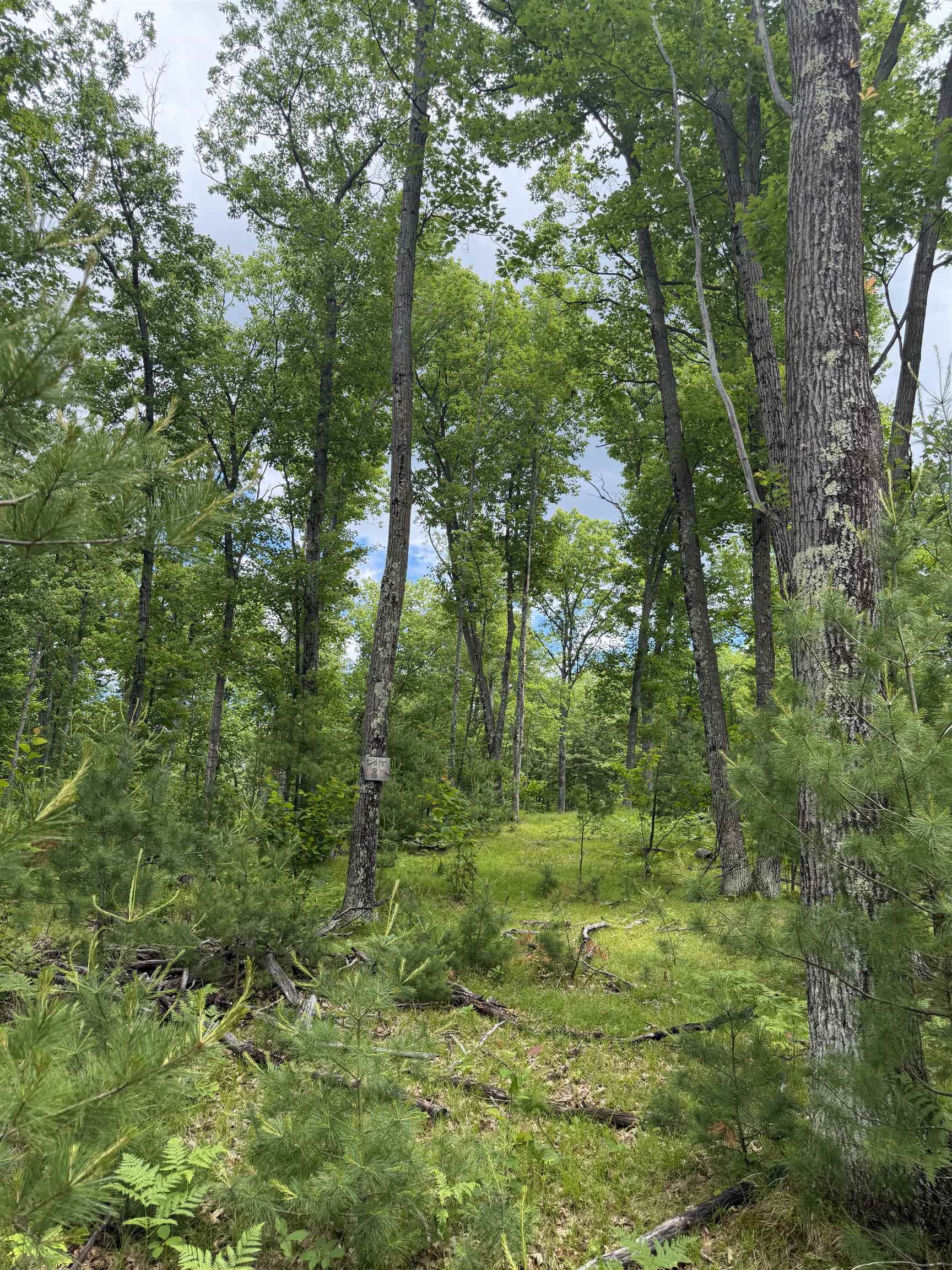Lot 8 Rhett Lane, Unit 8 Wausaukee, WI 54177 - Photo 11 of 16