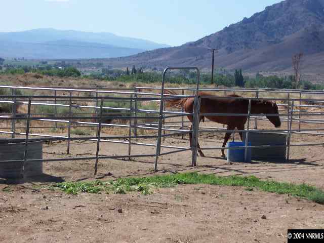 51 Lower Colony Road Wellington, NV 89444 - Photo 3 of 8 Photo 3