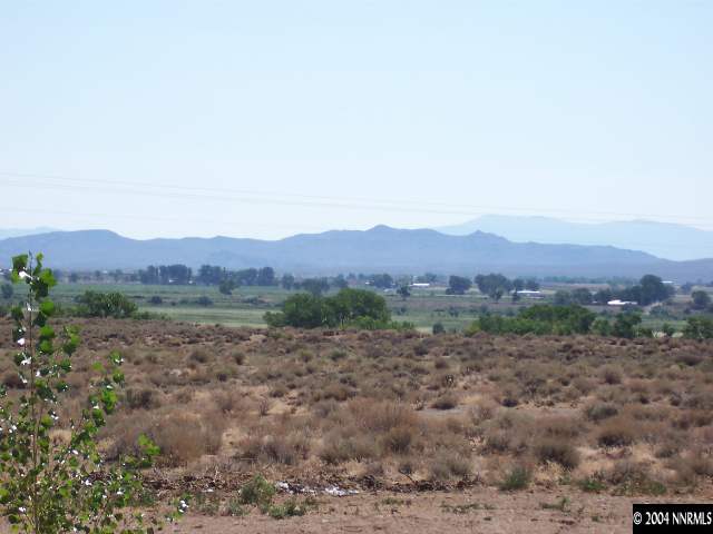 51 Lower Colony Road Wellington, NV 89444 - Photo 5 of 8 Photo 5