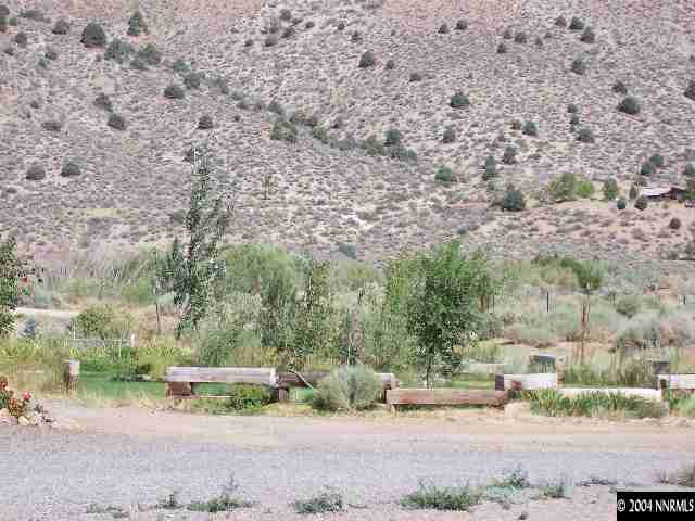 51 Lower Colony Road Wellington, NV 89444 - Photo 6 of 8 Photo 6