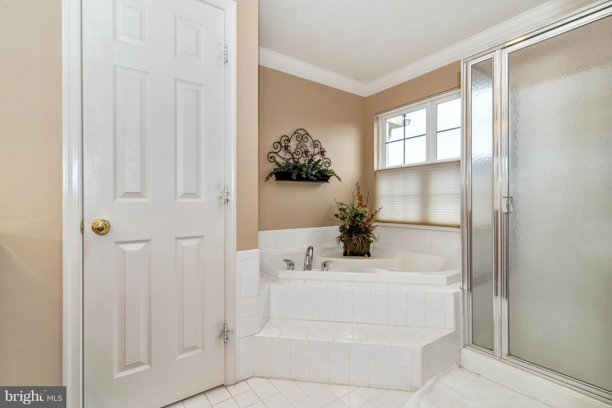 2617 Monocacy Ford Road Frederick, MD 21701 - Photo 13 of 29 Bath (Master)