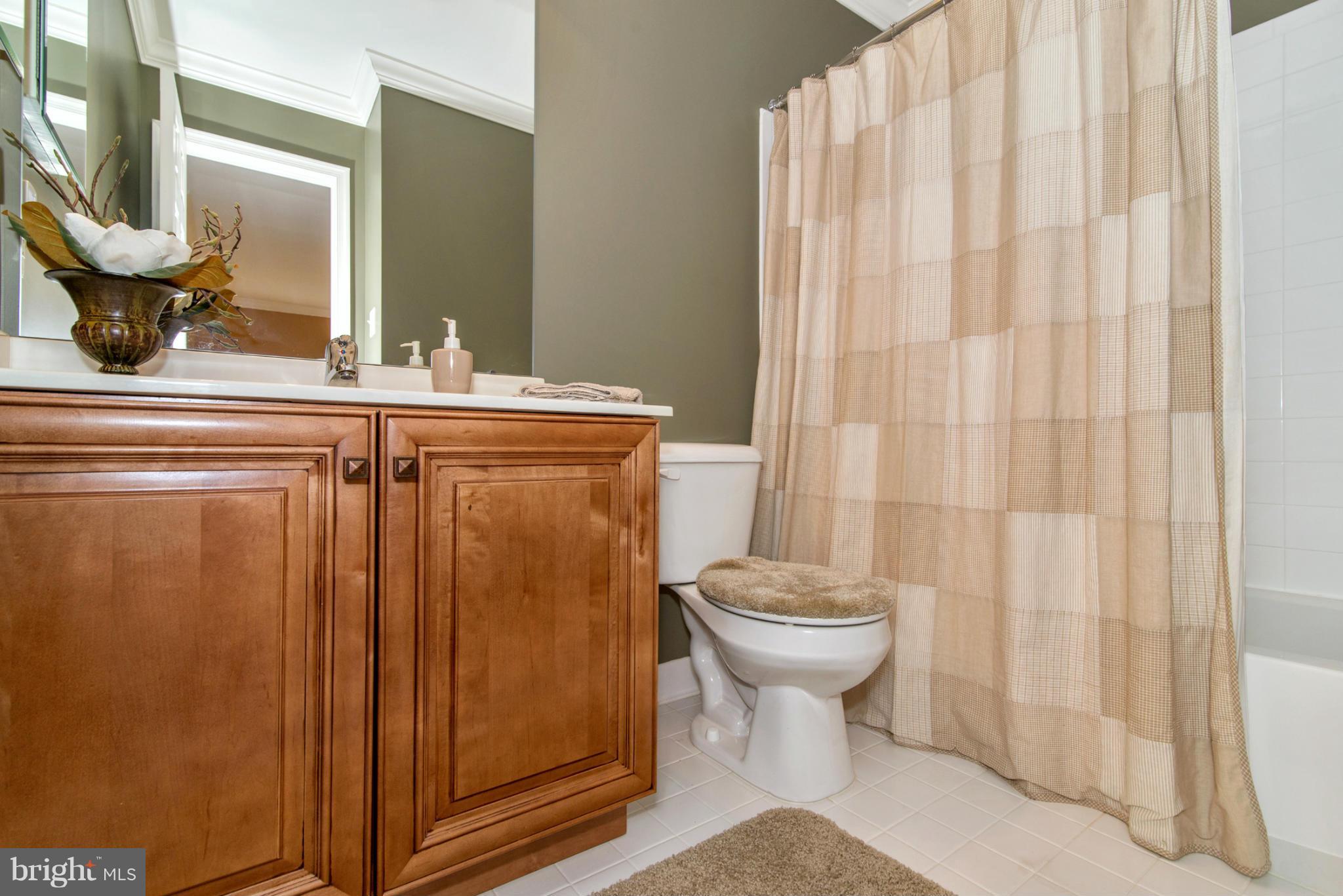 2617 Monocacy Ford Road Frederick, MD 21701 - Photo 17 of 29 Upper level main bath