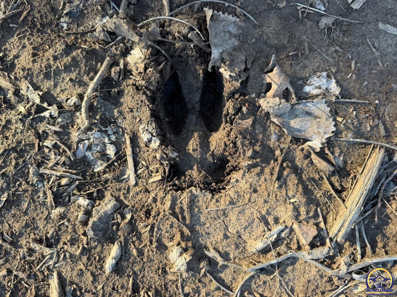 0 214th Road Holton, KS 66436 - Photo 40 of 40