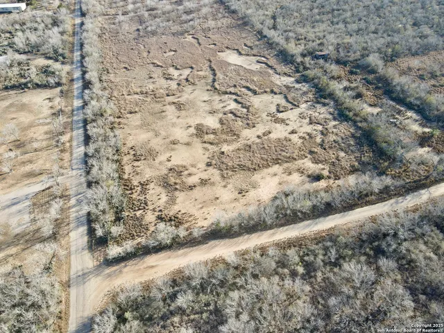 a view of a dry yard