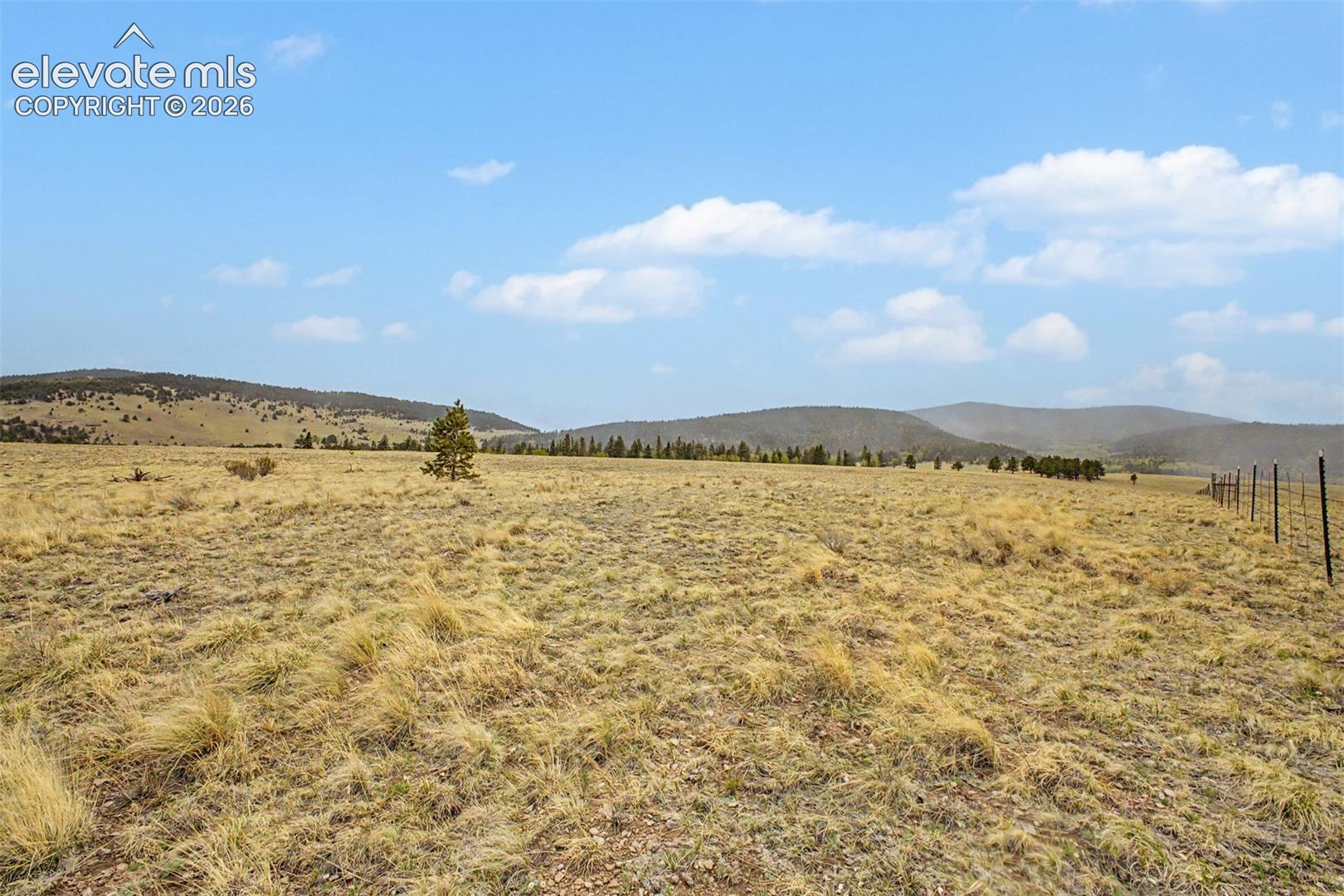 Ranger Station Road Florissant, CO 80816 - Photo 13 of 36 Gallery Image 13