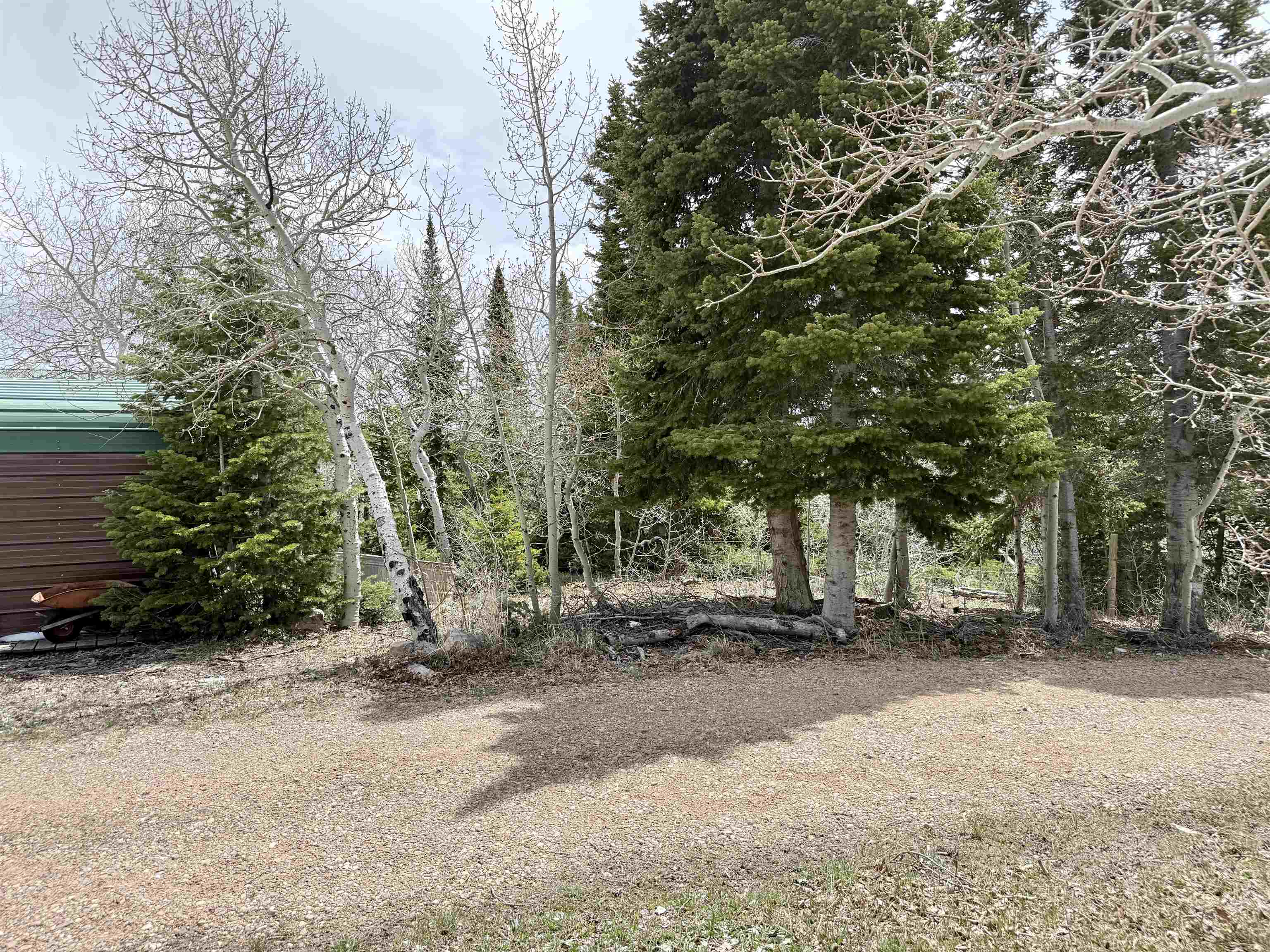 582 Porcupine Road Kemmerer, WY 83101 - Photo 6 of 49
