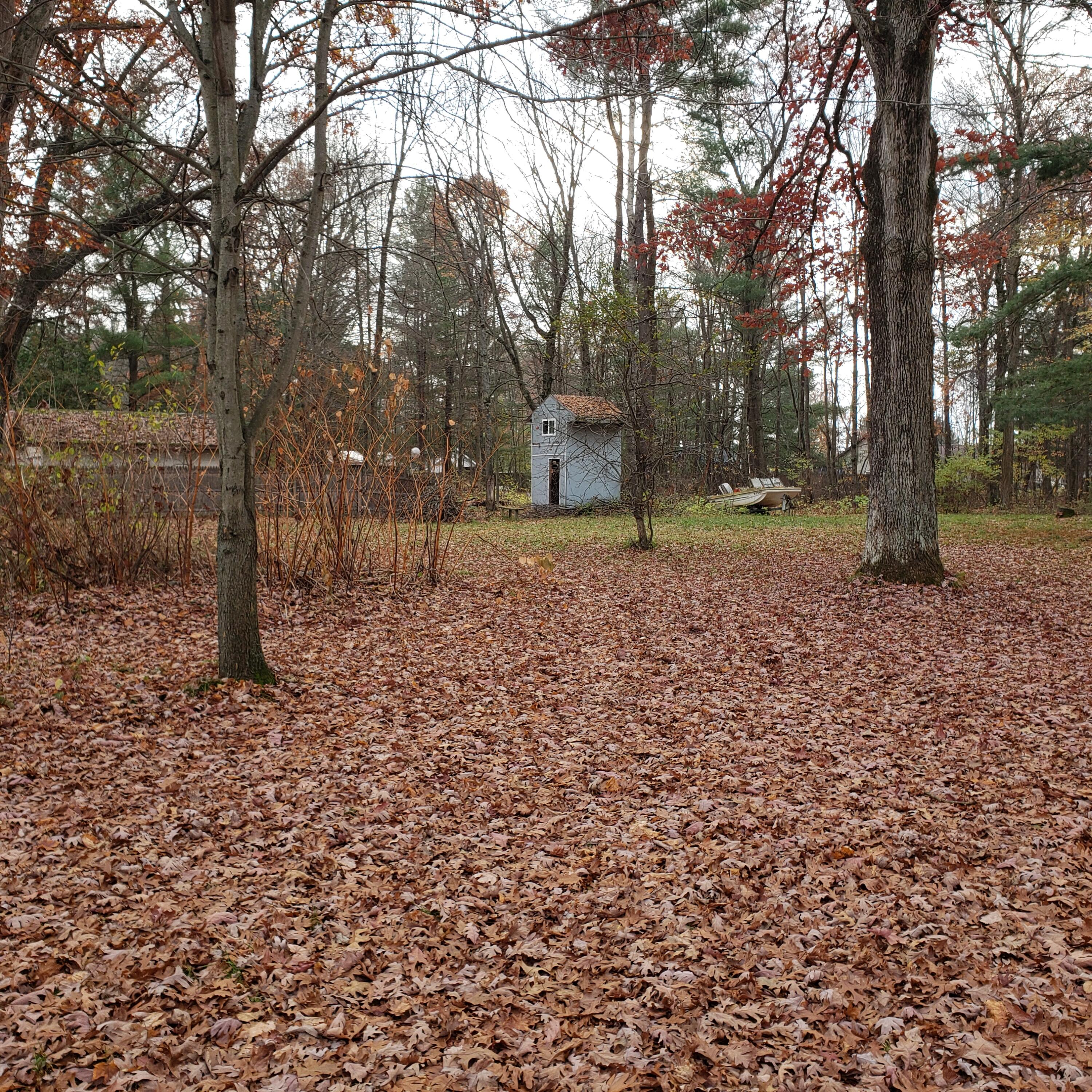 971 South Ransom Road White Cloud, MI 49349 - Photo 15 of 16 20231105_145116