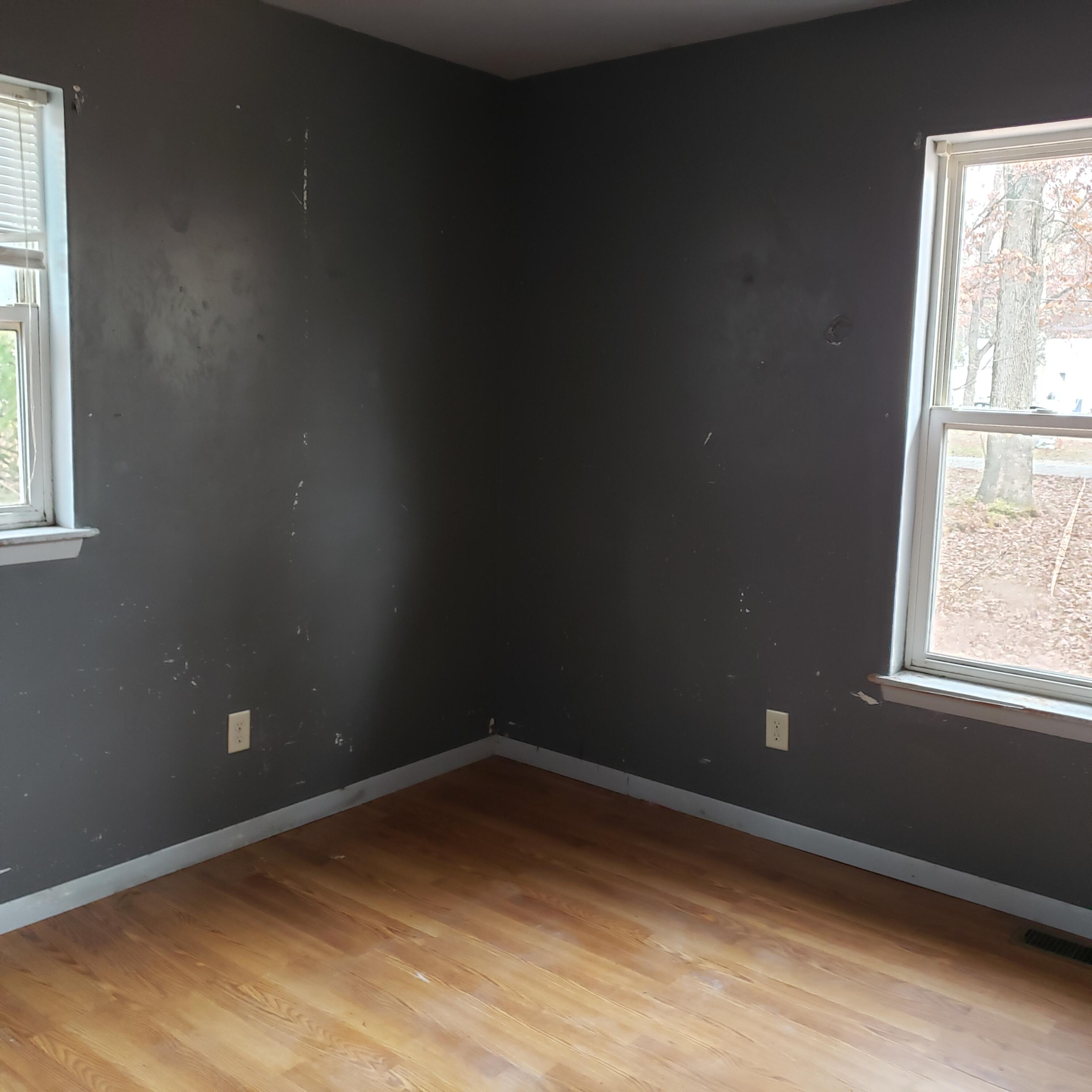 971 South Ransom Road White Cloud, MI 49349 - Photo 9 of 16 20231105_144738