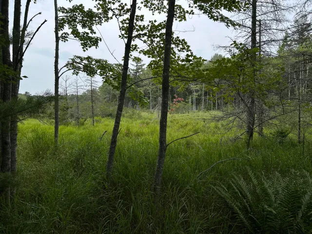 $127,500 | M5-l13-3 Spruce Head Road, South Thomaston, ME 04858