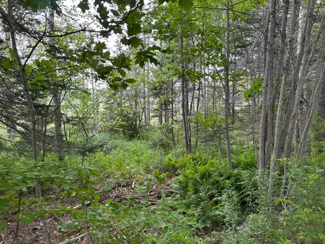 $127,500 | M5-l13-3 Spruce Head Road, South Thomaston, ME 04858