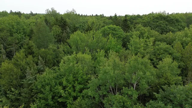 $127,500 | M5-l13-3 Spruce Head Road, South Thomaston, ME 04858