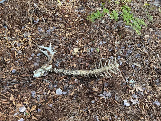 $127,500 | M5-l13-3 Spruce Head Road, South Thomaston, ME 04858