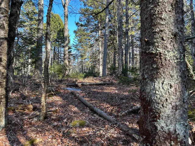 $127,500 | M5-l13-3 Spruce Head Road, South Thomaston, ME 04858