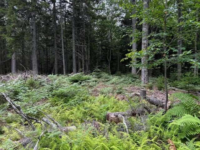 $127,500 | M5-l13-3 Spruce Head Road, South Thomaston, ME 04858