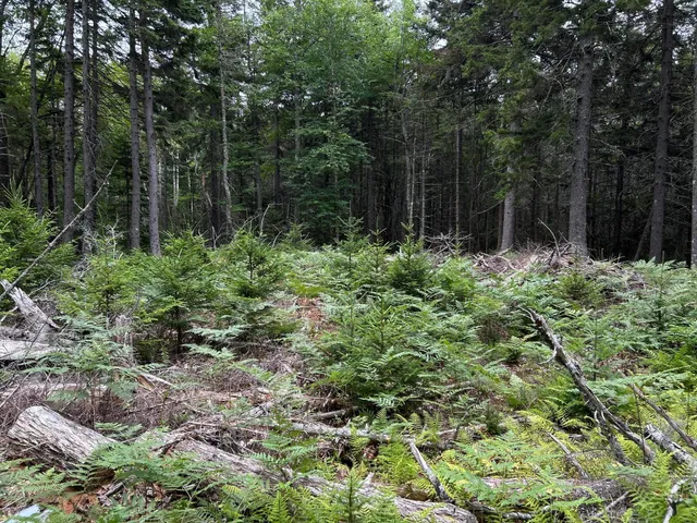 $127,500 | M5-l13-3 Spruce Head Road, South Thomaston, ME 04858